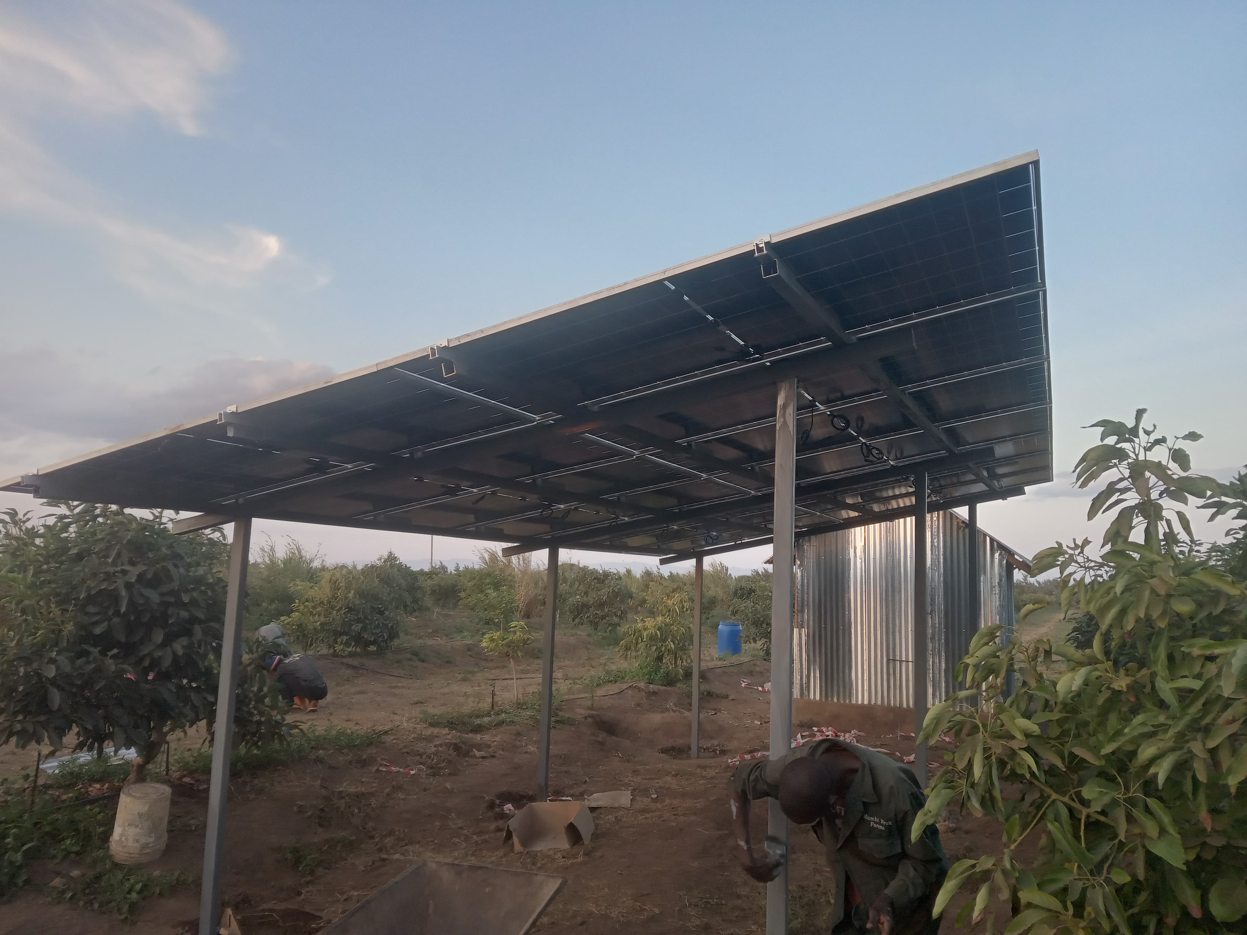 How We Deliver Impact